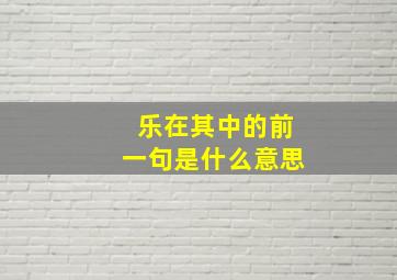 乐在其中的前一句是什么意思