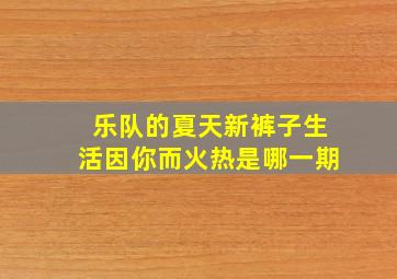 乐队的夏天新裤子生活因你而火热是哪一期