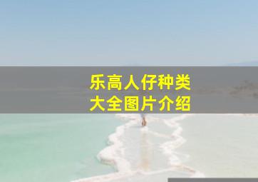 乐高人仔种类大全图片介绍