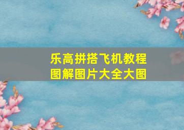 乐高拼搭飞机教程图解图片大全大图