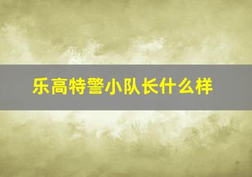 乐高特警小队长什么样