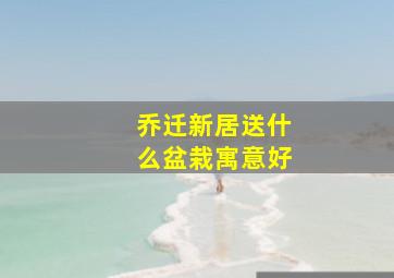 乔迁新居送什么盆栽寓意好