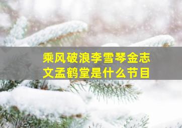 乘风破浪李雪琴金志文孟鹤堂是什么节目