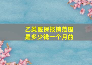 乙类医保报销范围是多少钱一个月的