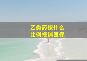 乙类药按什么比例报销医保