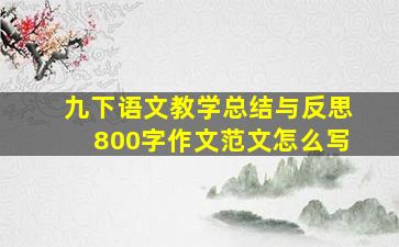 九下语文教学总结与反思800字作文范文怎么写