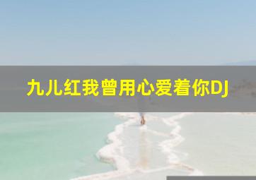 九儿红我曾用心爱着你DJ