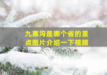 九寨沟是哪个省的景点图片介绍一下视频