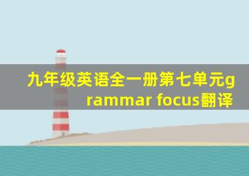 九年级英语全一册第七单元grammar focus翻译