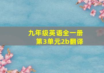 九年级英语全一册第3单元2b翻译