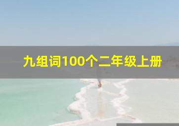 九组词100个二年级上册