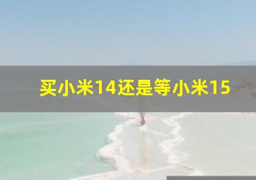 买小米14还是等小米15