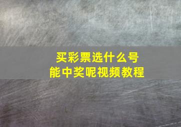 买彩票选什么号能中奖呢视频教程