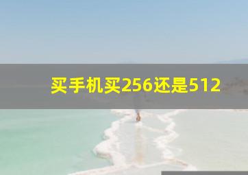 买手机买256还是512