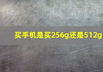 买手机是买256g还是512g