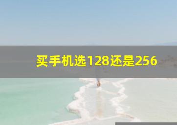 买手机选128还是256