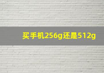 买手机256g还是512g