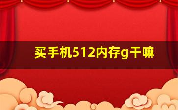 买手机512内存g干嘛