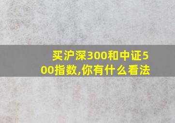 买沪深300和中证500指数,你有什么看法