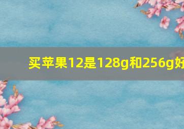 买苹果12是128g和256g好