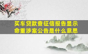 买车贷款查征信报告显示命重涉案公告是什么意思