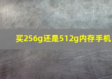 买256g还是512g内存手机