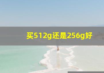 买512g还是256g好