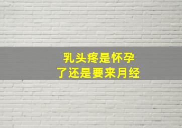 乳头疼是怀孕了还是要来月经