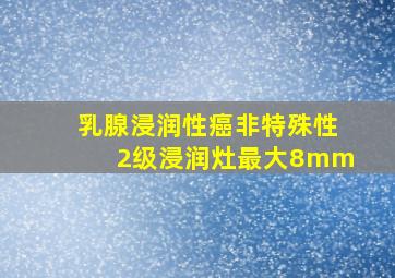 乳腺浸润性癌非特殊性2级浸润灶最大8mm