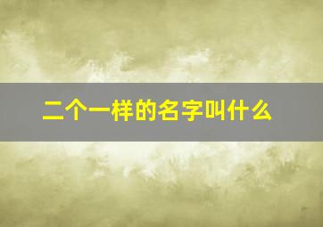 二个一样的名字叫什么