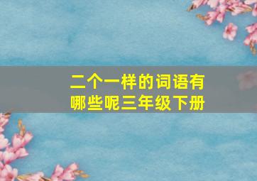 二个一样的词语有哪些呢三年级下册