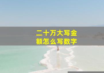 二十万大写金额怎么写数字