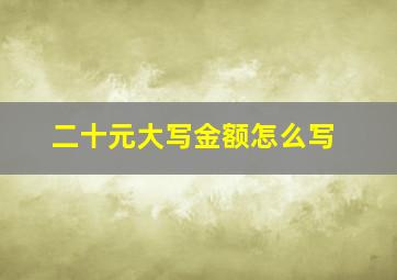 二十元大写金额怎么写