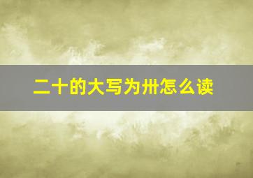 二十的大写为卅怎么读