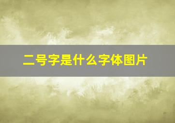 二号字是什么字体图片