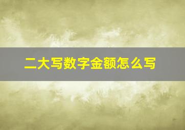 二大写数字金额怎么写