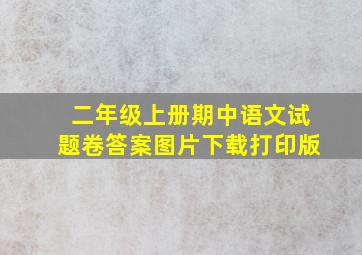 二年级上册期中语文试题卷答案图片下载打印版