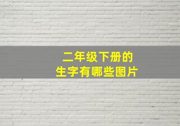 二年级下册的生字有哪些图片