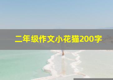 二年级作文小花猫200字