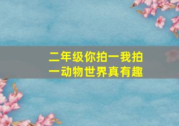 二年级你拍一我拍一动物世界真有趣