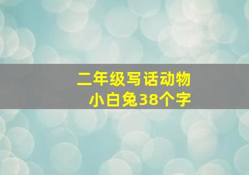 二年级写话动物小白兔38个字