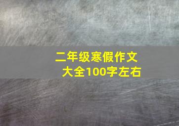 二年级寒假作文大全100字左右