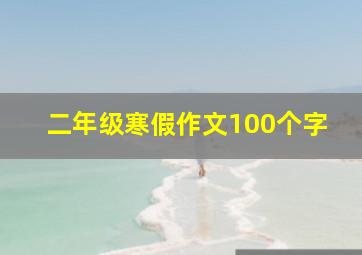 二年级寒假作文100个字