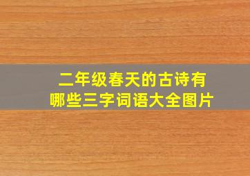 二年级春天的古诗有哪些三字词语大全图片