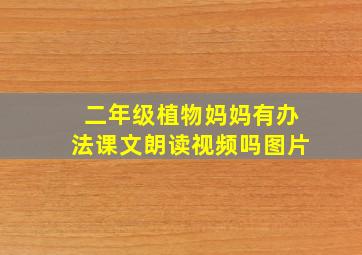 二年级植物妈妈有办法课文朗读视频吗图片