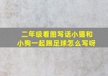 二年级看图写话小猫和小狗一起踢足球怎么写呀