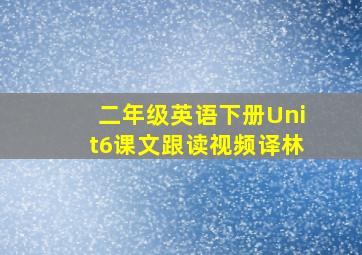 二年级英语下册Unit6课文跟读视频译林