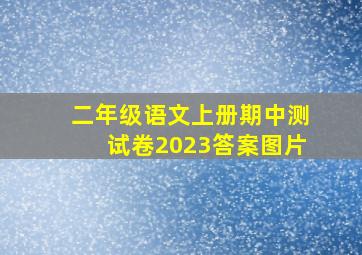 二年级语文上册期中测试卷2023答案图片