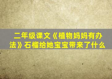 二年级课文《植物妈妈有办法》石榴给她宝宝带来了什么