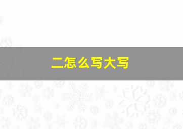 二怎么写大写